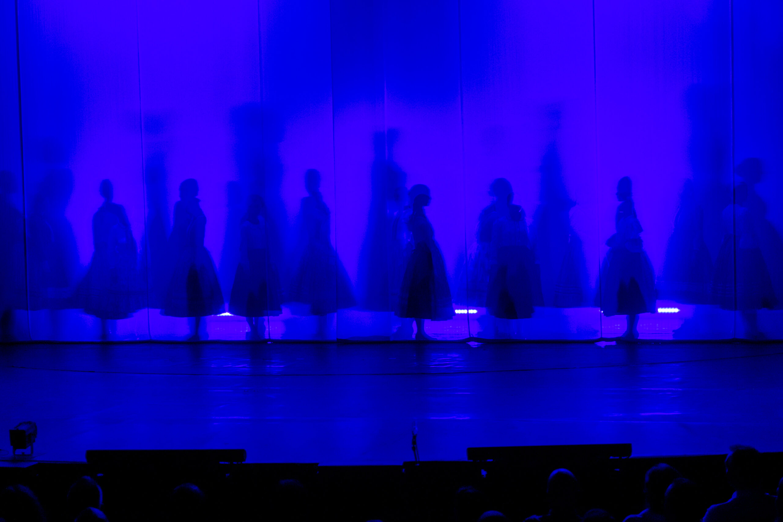 _DSC6412